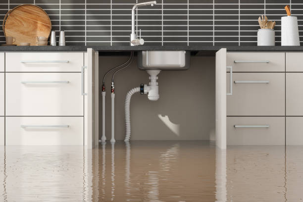 Water damage restoration mold remediation in Rockford, IL